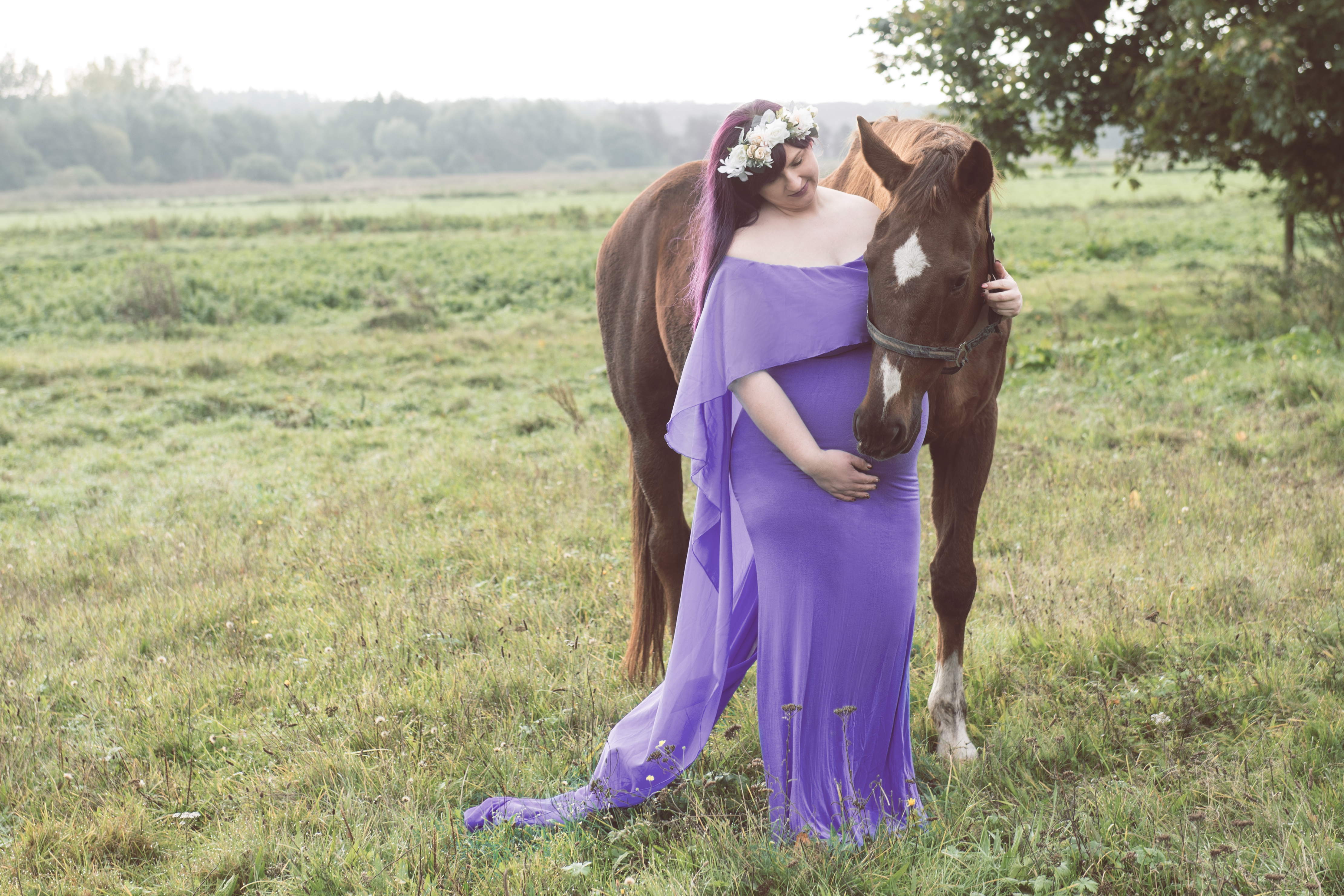 Babybauchshooting mit Pferden